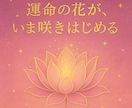恋も仕事も心も占う未来リーディングいたします どのメニューから申し込めばいいかわからない方はこちらから！ イメージ8