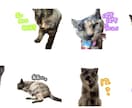 我が家のかわいいLINEスタンプ作成します 画像を使用してLINEスタンプ作成します！！！ イメージ2