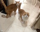 日々辛いこと吐き出してスッキリして頂きます 毎日の積み重なるストレスの山、目一杯吐き出しましょう。 イメージ3