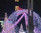 ゆいと✨クリスマス大作戦☘楽しみ方を伝授します あなたのクリスマスに輝きを✨今年最後のひとやすみに☘✨ イメージ3