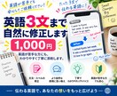 英語3文まで1000円で自然に修正します 英語が苦手な方にも、わかりやすく丁寧に添削します イメージ1