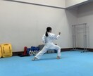 空手レッスンします 幼児・小学生・中学生年齢問わずご応募いただけます！ イメージ1