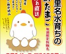 経験に基づいた高品質チラシ、フライヤー製作致します プロが全力で高品質（AI込み）チラシを製作致します。 イメージ10