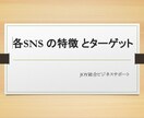 各種SNS集客や販売戦略コンサルます アカウント作成からマーケティング・販売戦略までサポート イメージ1