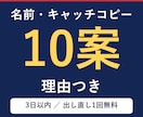 ネーミング・キャッチコピーを10案考えます 10案＋選んだ理由つき／3日以内。屋号・ブログ名・商品名に イメージ1