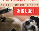1日1名限定！　特殊ペットの飼育相談何でも受けます こちらの商品はお試し版になります！ イメージ1