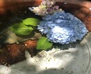 気分障害、HSPの方相談受付ます 治すのが難しいからこそうまく向き合っていきましょう！ イメージ1