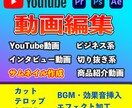 YouTubeの動画編集・サムネイル制作を致します ビジネス系を中心に動画編集致します‼ イメージ1