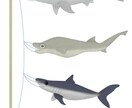 幻想的なコンセプトイラスト制作いたします 遊び心のある世界観をお求めの方へ イメージ4
