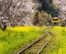 出張撮影します 関東どこでもフッ軽撮影行ってきます！ イメージ1