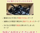 カビで再生できないテープ徹底メンテ&データ化します 他社で断られたテープ対応可能です！自社独自の専用機材使用！ イメージ2