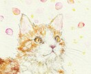 大切なペットを、丁寧に水彩で描き実物をお届けします 実際の原画をフレームに入れてお届けします イメージ2