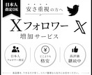 Xで最高品質！(購買層)の10人の日本人増やします 日本人フォロワーを+10人！【最大100万人まで対応】 イメージ1