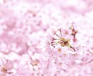 日々のお悩みや愚痴など聞きます どんなささいなことでも大丈夫です♪ イメージ1