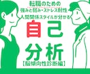 転職向け人間関係スタイル、ストレス耐性が分かります 脳傾向性診断で人間関係スタイルとストレス耐性などが分かります イメージ1