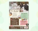 先着３名限定！シンプルで癒されるチラシを作成します 「伝わる×感じる」デザインを大切にお手伝いをいたします◎ イメージ4