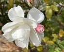 臨床心理士•公認心理師が男女のお悩みお伺いします ご遠慮なく、お気軽にお話しください。 イメージ1
