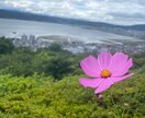 恋愛のお悩み一緒に考えます 悩みはためこむより、誰かに吐き出すことが解決策への第一歩！ イメージ1