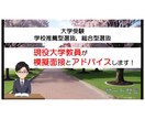 学校推薦型，総合型選抜の大学入試の模擬面接をします 現役大学教員視点でアドバイスをします（文系学部対象） イメージ1