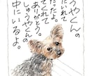 猫の可愛いイラスト描きます 癒し系のペットイラスト描きます。 イメージ7