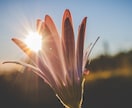 なぜ今この試練が起きているのか読み解きます 今の悩みに必要な気づきや導きをお伝えします イメージ4