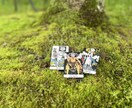 タロットであなたの恋愛を占います タロットカードにあなたの波動をのせて占います。 イメージ1