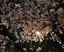 1分からOK～　あなたのお話を聞かせていただきます お悩み相談/愚痴/話し相手/鬱/パワハラなど　何でもOK☘️ イメージ6