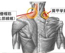 今すぐどこでも出来る肩こり解消法をお伝えします 肩こりが辛い！でも整体や運動は続かない、めんどくさい方に最適 イメージ4