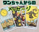 かわいい家族のペットの気持ちを視ます 犬ちゃん猫ちゃんの気持ちをお伝えします！ イメージ2