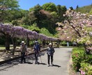 ポールを使ったウォーキングの指導ます ポールを使って体力と目的に合った歩き方を指導します。 イメージ1