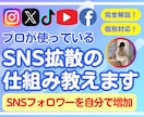 SNSフォロワーを自分で増やすプロの仕組み教えます 【完全マニュアル】もう業者に頼まなくていい｜拡散方法解説！ イメージ1