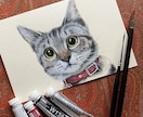 世界に一つの原画、かわいいペットの似顔絵描きます 肖像画のようなリアルな絵を飾りませんか？ イメージ3