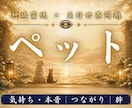 亡くなったあの子の想いと魂の現在地を霊視します 本当に幸せだったのか。今もあなたへ向けている想いを伝えます イメージ1