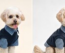 フィギュアのオリジナル作成ができます あらゆる写真、画像の人間、動物、キャラを再現します。 イメージ8