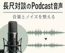 長尺の対談・インタビュー音声を整えて納品します 音量・ノイズ・沈黙を整えて最後まで聴きやすく整えます イメージ1