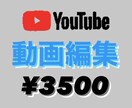 某有名バラエティスタッフ/動画制作やります TikTok/YouTube向けの動画編集、字幕入れ イメージ1