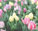 変わりたいあなたへ❤️心のブロックを解除します 深堀なし！軽やかに変わっていきましょう♡ イメージ3