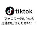 tiktokのフォロワー2000人増やします ✨オプションで2000人以上もOK✨振り分け可能✨ イメージ2