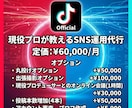 現役のプロがSNS運用代行します 総フォロワー200万人のプロがあなたをサポート イメージ5