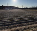 仙人見習が健康の悩み聞きます ぜひ、仙人見習いと健康を語り尽くそうよ！ イメージ2