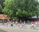 子育て・幼稚園等でのお子様の心配事の相談にのります 現役の主幹保育教諭が、何でもお答えいたします！ イメージ1
