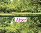画像の白抜き、合成します あなたの欲しい画像を素早く丁寧に イメージ5