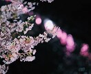 回数無制限で1ヶ月、友達になります フランクな友達みたいにやり取りしよ！雑談、相談、何でも♪ イメージ6
