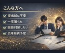 日本政策金融公庫の事業計画書を整えます 審査目線で弱点と面談対策を整理します！ イメージ6