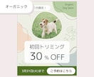 Instagram投稿デザイン３枚まで、つくります 初心者でも安心◎反応が取れるインスタ投稿画像を作成します イメージ5