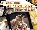 ワンちゃんへのオリジナルソング付き動画を作成します ペットロスへ悩んでいる方向けにあの子の動画を作成します イメージ2