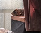 どうにもならないあなたの気持ちお聴きします あなたは自分の気持ちを拒んでいませんか？ イメージ5
