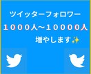 Twitterフォロワー100人✨増加✨させます 貴方のSNSを強化して楽しもう！ イメージ1