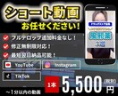 実績多数！SNSの高品質ショート動画即日編集します 見てもらえる動画制作！最短翌日納品可能です！ イメージ1