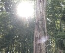 あなたのエネルギーをリーディングします 必要なメッセージをガイドを通してお伝えしていきます。 イメージ1
